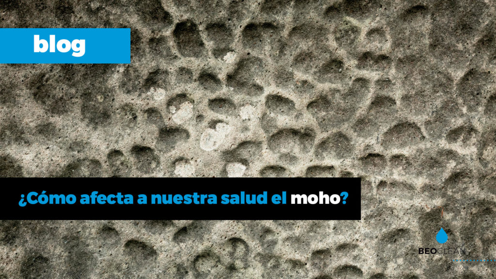 ¿Cómo afecta a nuestra salud el moho?